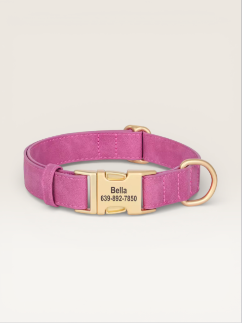 CUSTOM DOG/CAT COLLAR