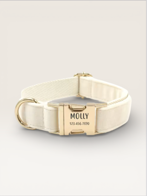 CUSTOM DOG/CAT COLLAR