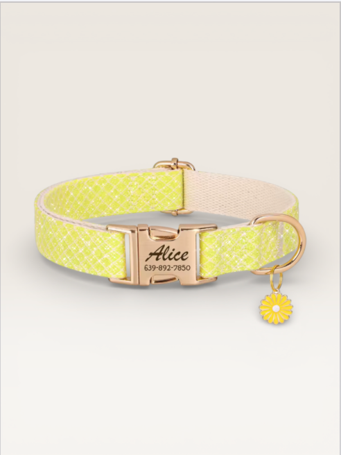 CUSTOM DOG/CAT COLLAR