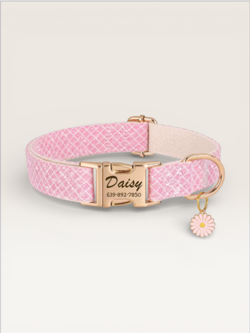 CUSTOM DOG/CAT COLLAR