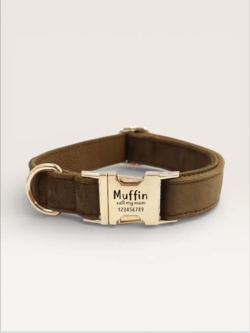 CUSTOM DOG/CAT COLLAR