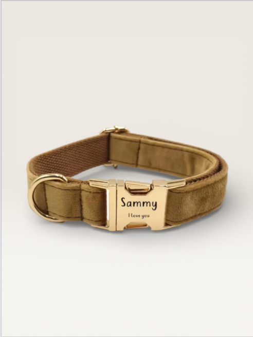 CUSTOM DOG/CAT COLLAR