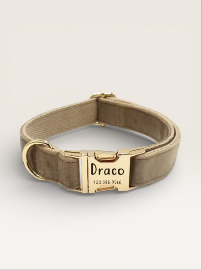 CUSTOM DOG/CAT COLLAR