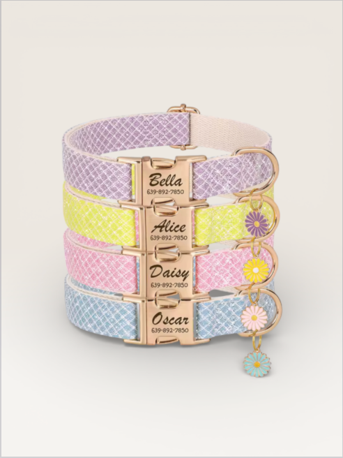 CUSTOM DOG/CAT COLLAR